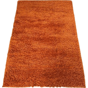Shaggy Orange Carpet